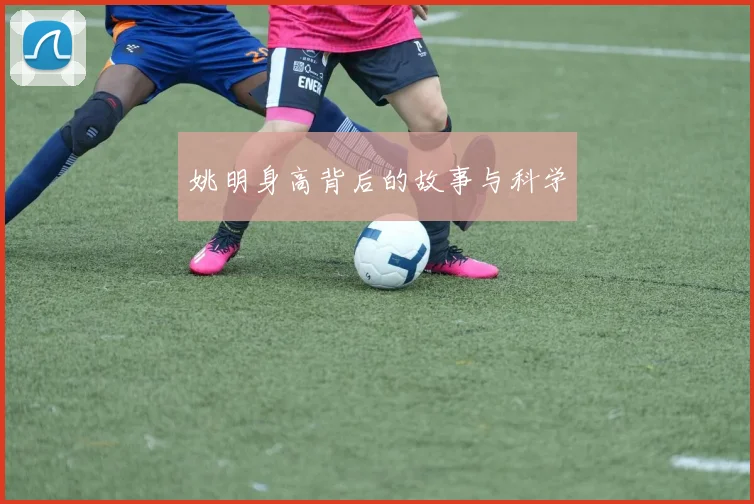 姚明身高背后的故事与科学