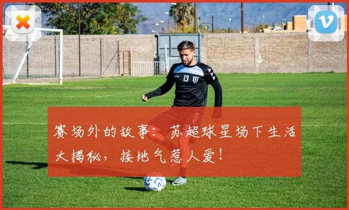 赛场外的故事：苏超球星场下生活大揭秘，接地气惹人爱！