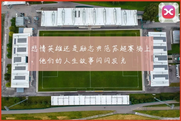 悲情英雄还是励志典范苏超赛场上，他们的人生故事闪闪发光