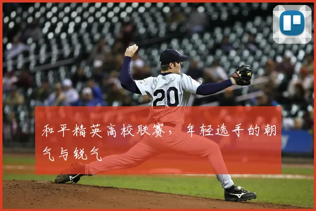 和平精英高校联赛,年轻选手的朝气与锐气