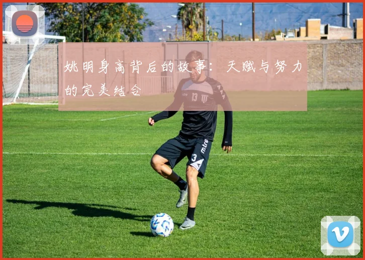 姚明身高背后的故事：天赋与努力的完美结合