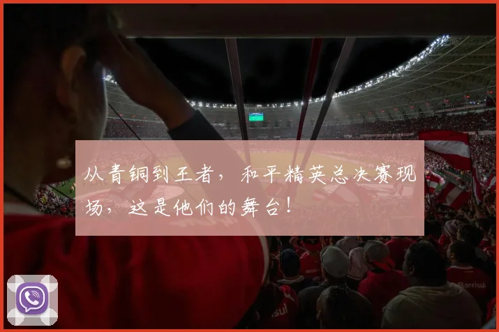 从青铜到王者，和平精英总决赛现场，这是他们的舞台！